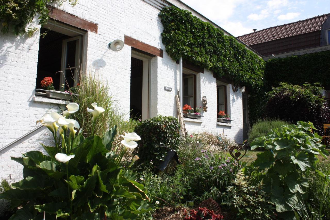 L'Atterrissage Bed & Breakfast Santes Ngoại thất bức ảnh